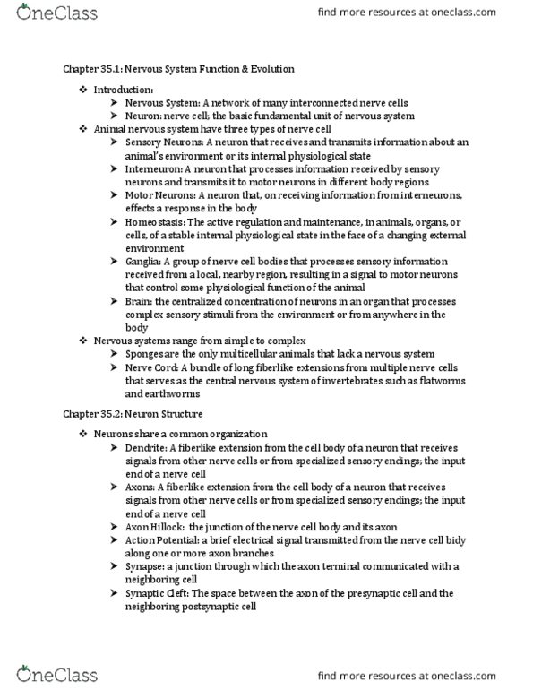 LIFESCI 7C Chapter Notes - Chapter 35.1 - 35.2: Axon Terminal, Interneuron, Action Potential thumbnail